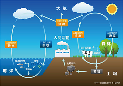 石油精製プロセスを活用するプラスチックリサイクル